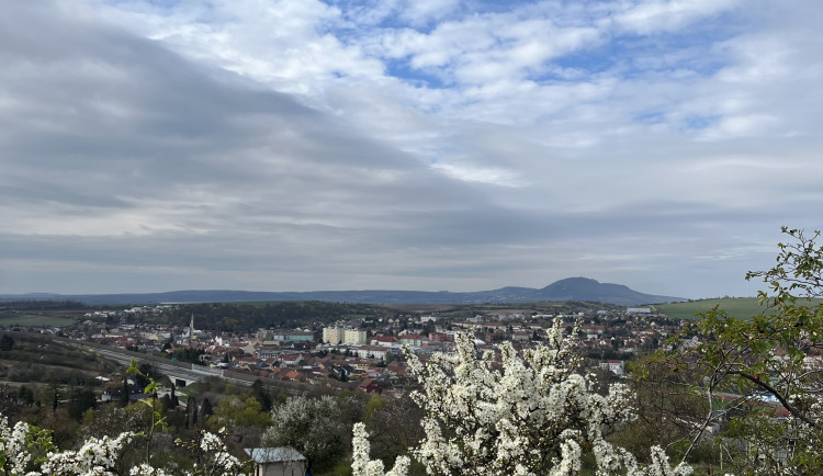 FOTO: Jaro jak z pohlednice. Mandloňové sady v Hustopečích přitahují davy