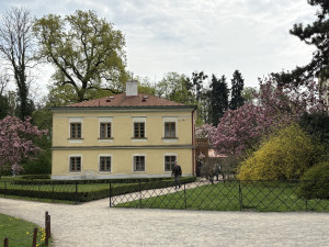 FOTOGALERIE: Jen hodinu od Brna. V Kroměříži okouzlí kvetoucí magnolie i pávi na procházce