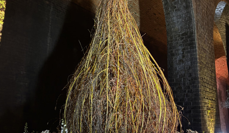 FOTO: Květiny zaplnily brněnské podzemní chrámy, instalace inspirovala voda