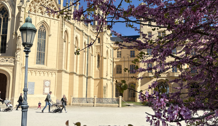 FOTO: Rozkvetlé zahrady i prosluněná kolonáda. Lidé si užívají jaro v Lednici