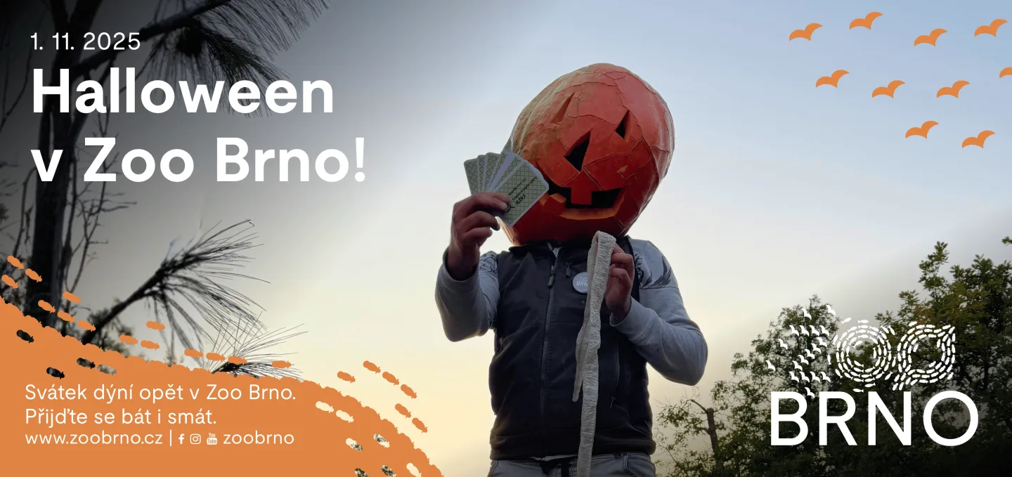 Halloween v Zoo Brno