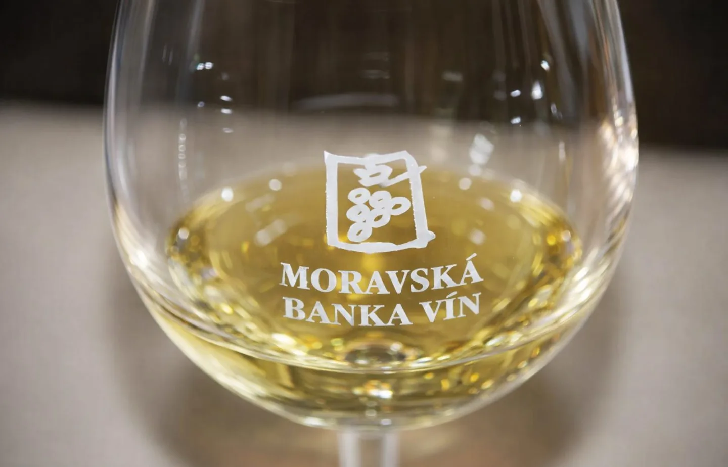 Brno – řízená degustace vín – Vinařství Lahofer