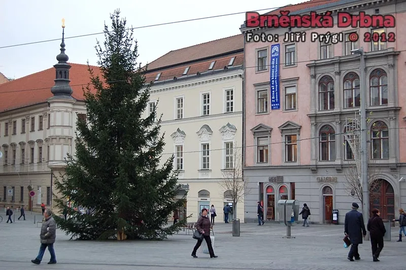 Vánoční strom na náměstí Svobody