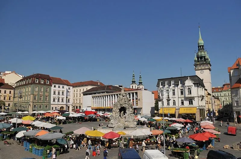 Zelný trh