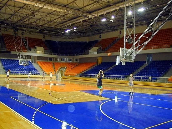 Městská sportovní hala Vodova