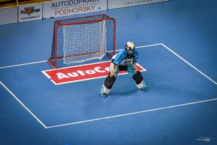 foto: Weiser Tomáš, Zdroj: www.bulldogs.cz