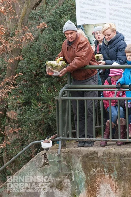Ředitel ZOO Brno Martin Hovorka, foto: Brněnská Drbna