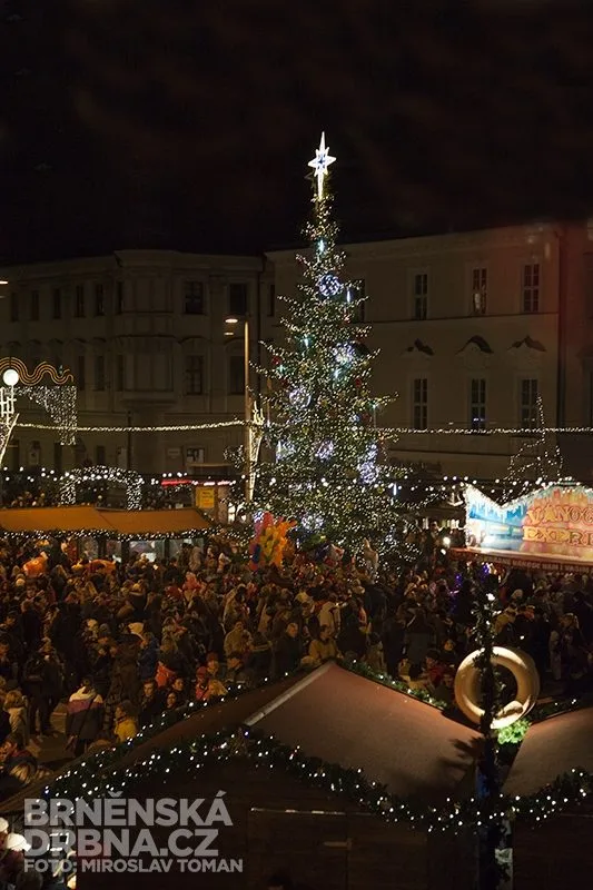 Jedle, která vyhrála v hlasování Brňanů je skutečnou ozdobou města, foto: Brněnská Drbna