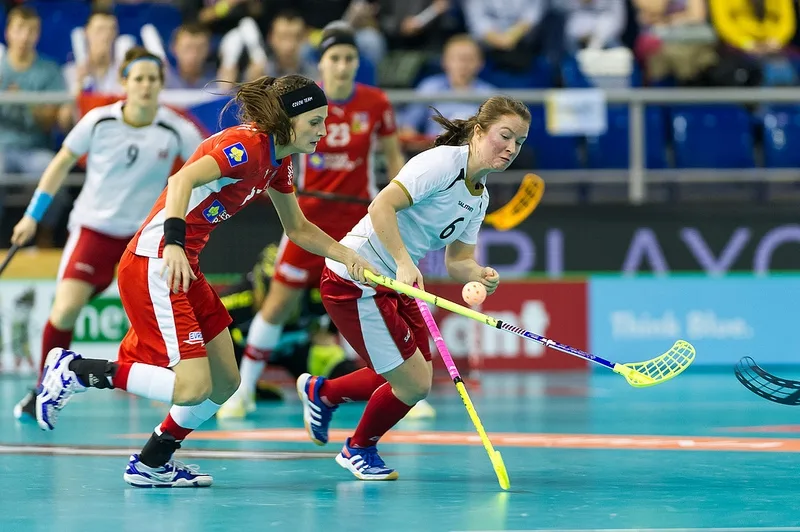 Česko - Norsko. Zdroj: WWFC 2013