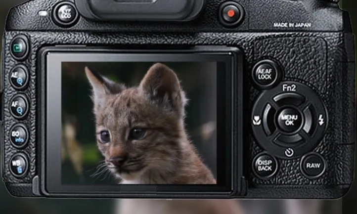 Z vítězných fotek zoo vznikne kalendář, foto: Zoo Brno