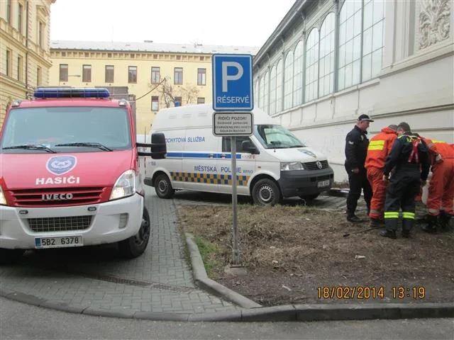 Uvězněnou kočku vyprošťovali hasiči i strážníci, foto: Městská policie Brno