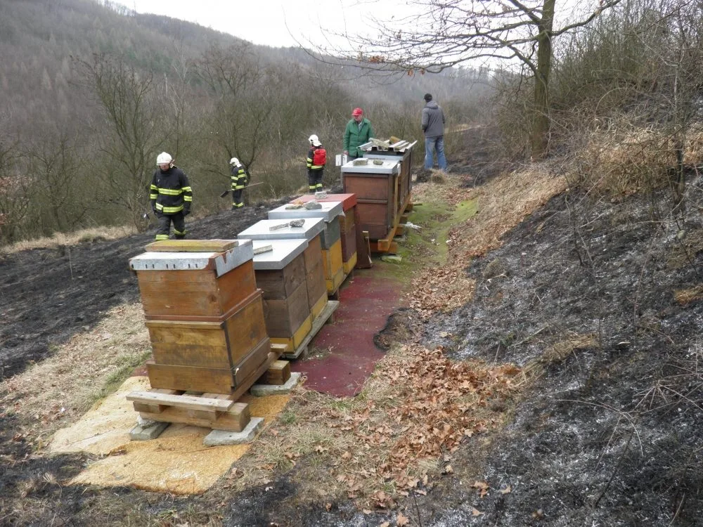 Hasiči zasahovali při úterním požáru trávy ve Ždánicích na Hodonínsku, foto: hasiči JMK