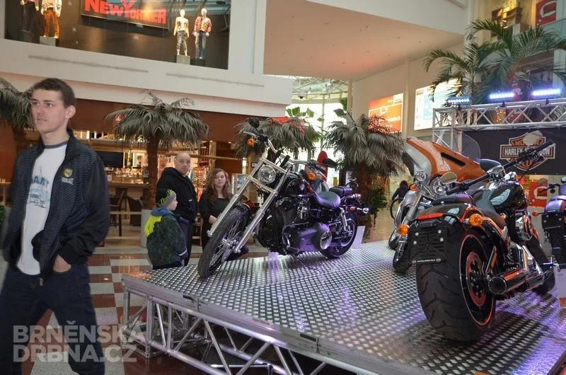 Na Motosalonu nebude chybět ani značka Harley Davidson, foto: Brněnská Drbna, Hana Mikešová