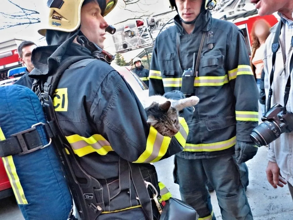 Hasiči likvidovali z bytu zachránili kočku, foto: hasiči JMK