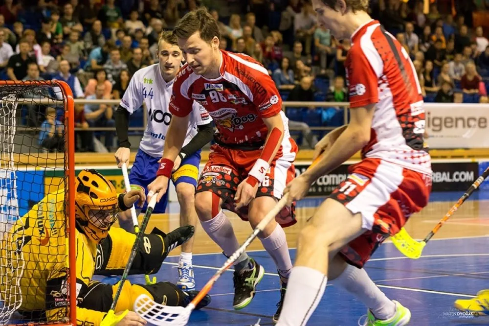 Ilustrační foto, foto: Martin Dvořák, bulldogs.cz