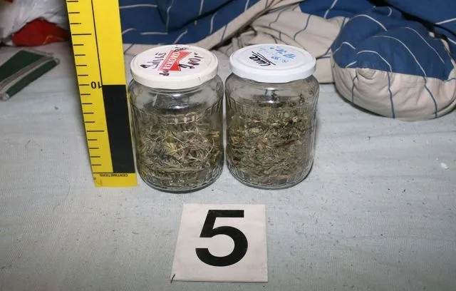 Policisté zajistili marihuanu, foto: Policie ČR