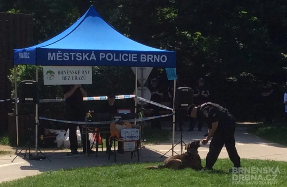 Strážníci předvedli práci psovodů, foto: Brněnská Drbna, David Zouhar