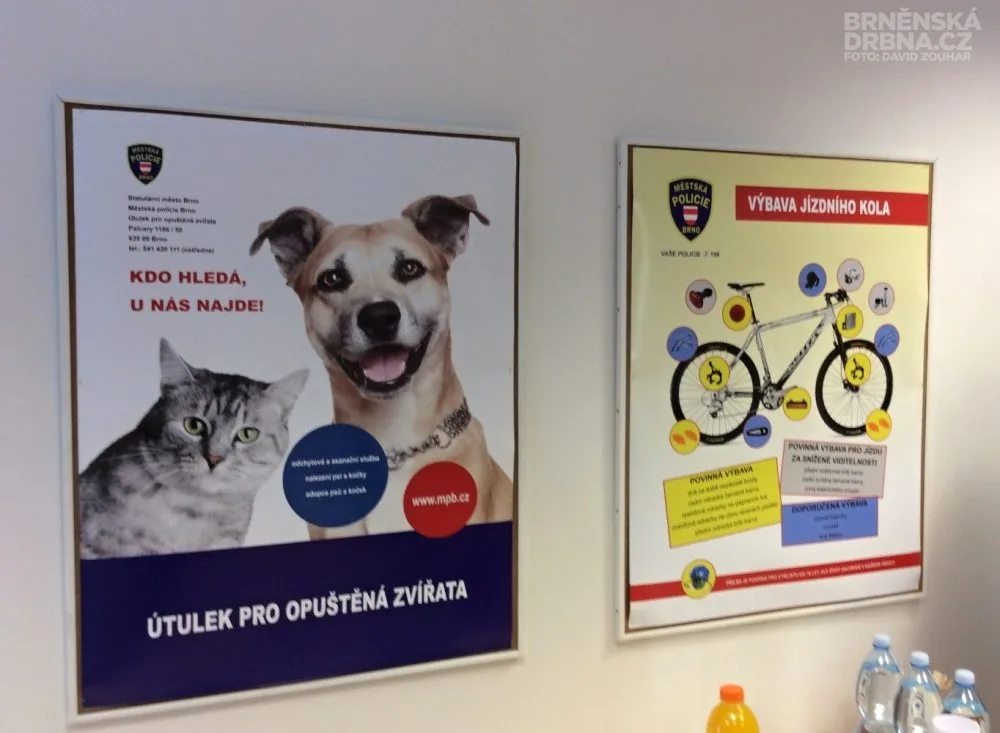 Kontaktní místo má i sál pro patnáct lidí, kde se budou konat zajímavé přednášky, foto: Brněnská Drbna, David Zouhar