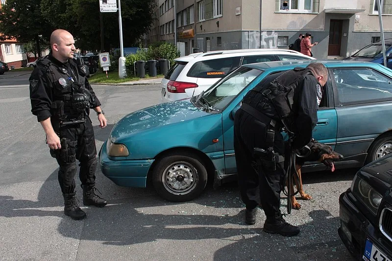 Zoufalý kříženec Dobrmana v červnu vyrazil okénko auta, strážníci jej museli uvolnit z vodítka. Foto: Městská policie Brno
