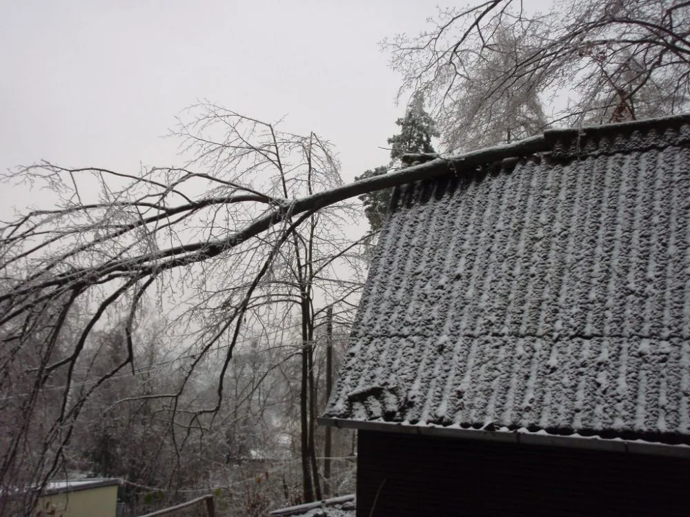 Odstraňování škod