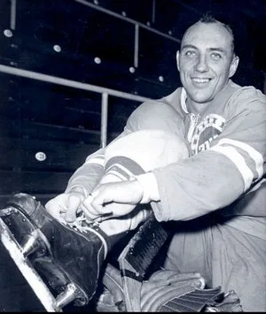 Vlastimil Bubník, foto: HC Kometa Brno