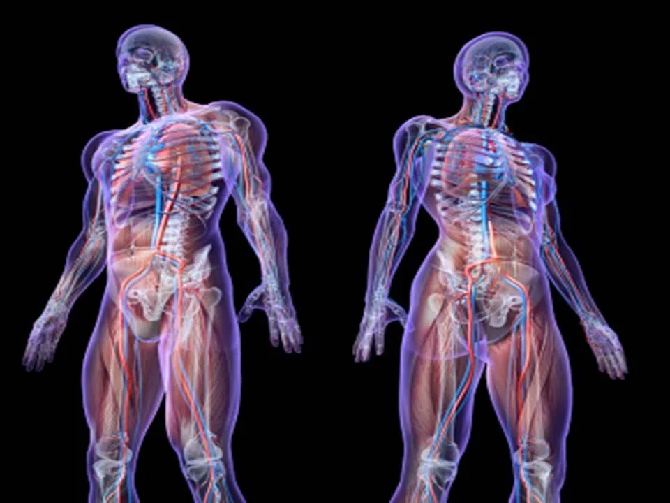 Ukázka z výstavy, foto bodies revealed