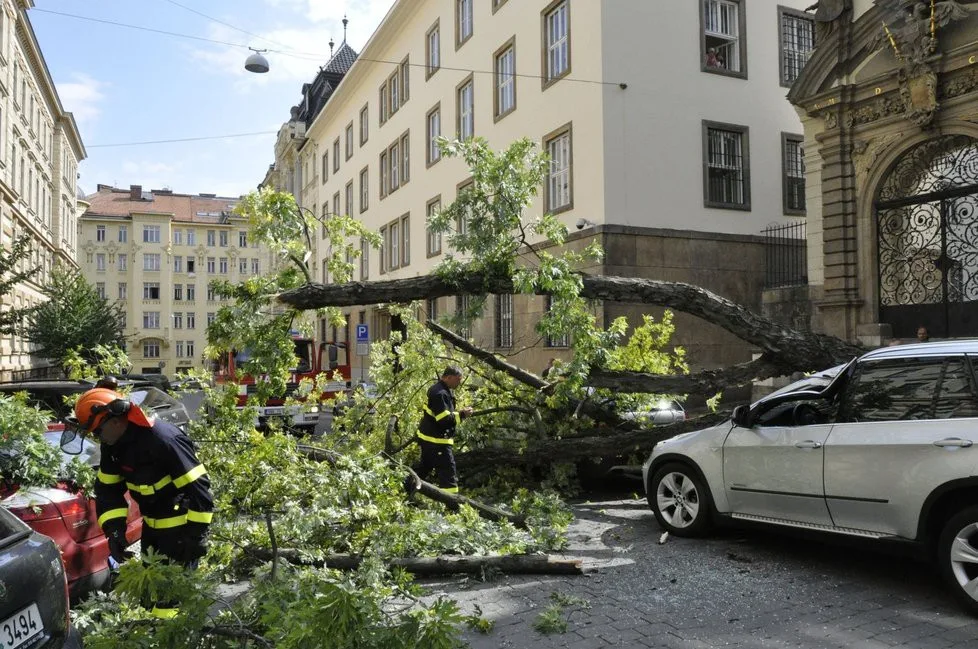 V centru Brna zdemoloval strom luxusní auto