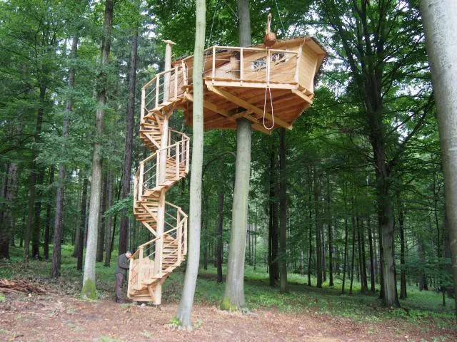 Tree House, foto: Lesy města Brna