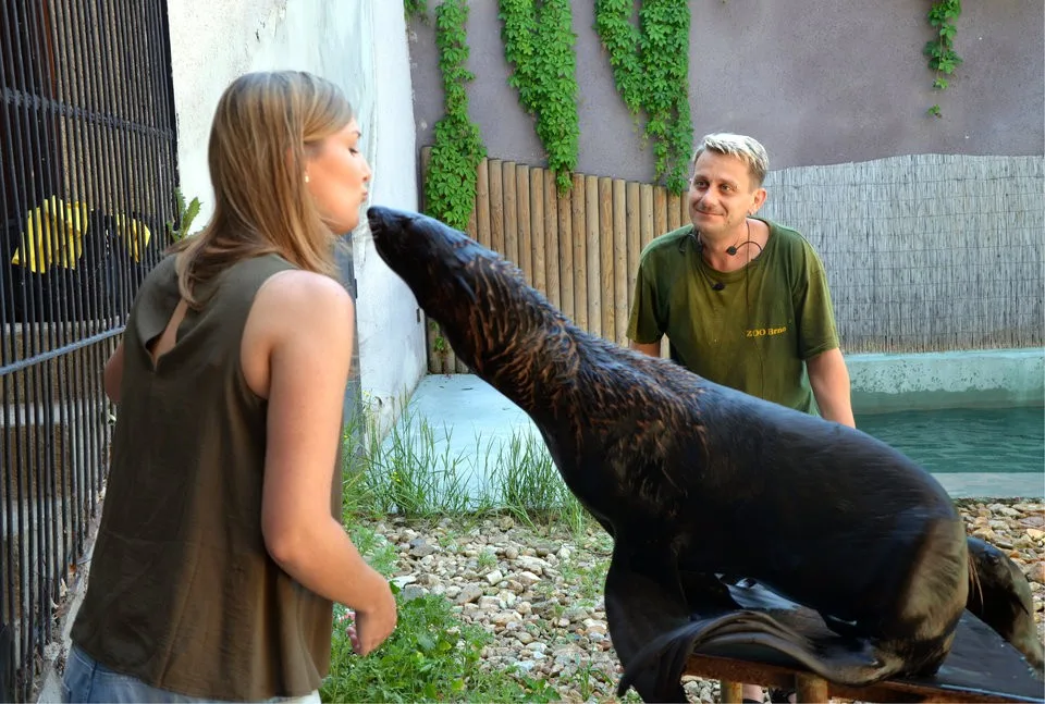 Ilustrační foto, zdroj: zoobrno.cz