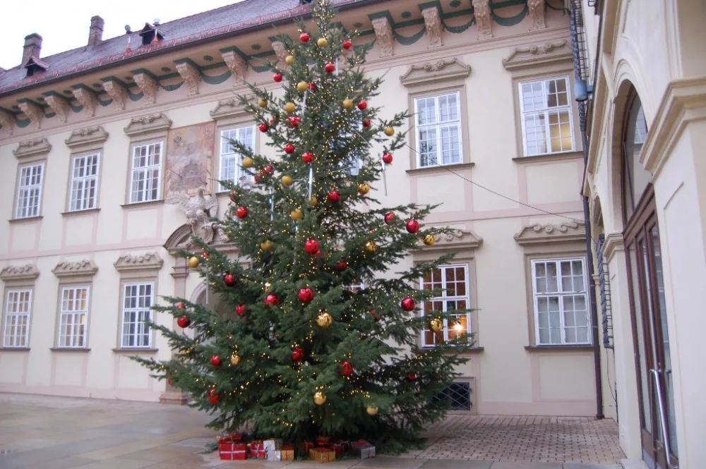 Foto: A. Pelikán