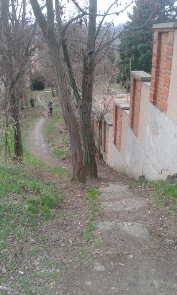 Cesta u vily