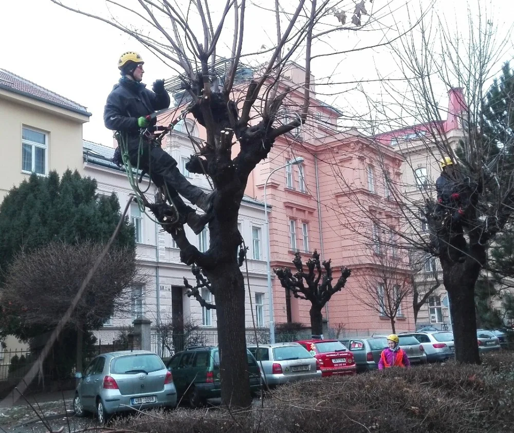Foto: Brno.cz