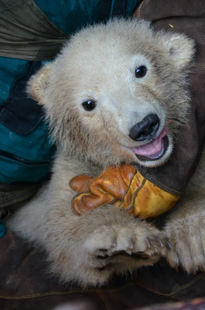 Foto: Zoo Brno