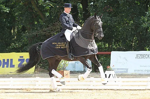 ilustrační foto, zdroj: www.dressageacademy.cz