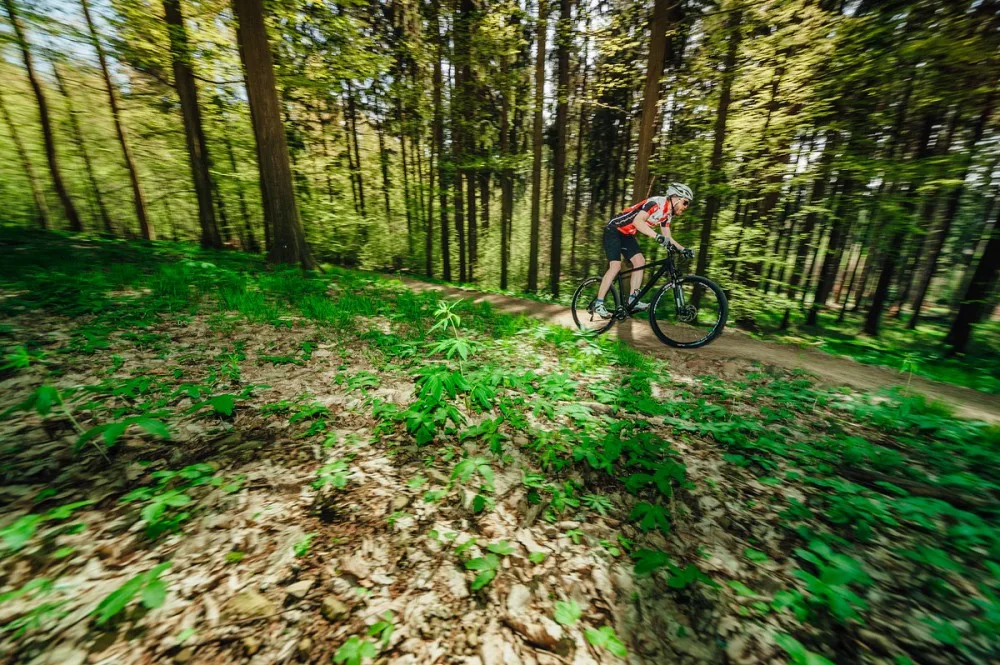 Foto: Jan Brychta, Singlekras.cz