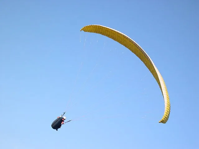 ilustrační foto