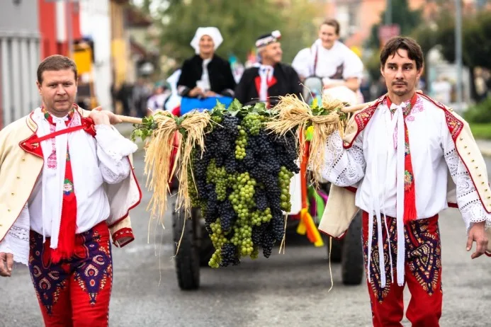 ilustrační foto, zdroj: www.wineofczechrepublic.cz