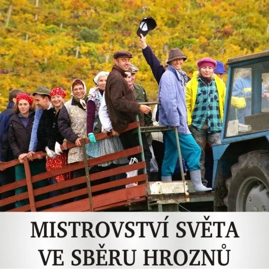 Zdroj: VSValtice