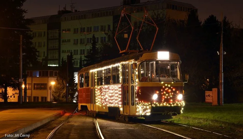 Vánoční šalina, foto: Jiří Černý
