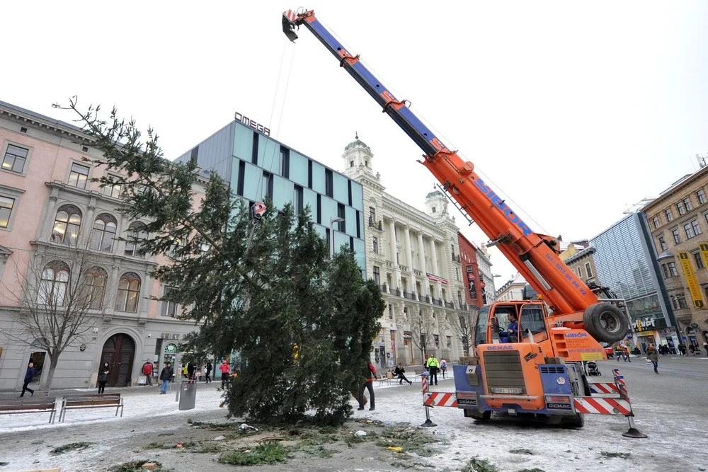 Zdroj: TIC Brno