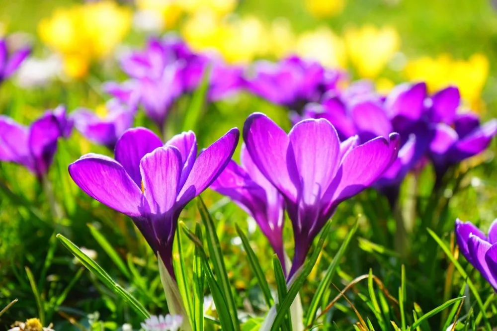 ilustrační foto, zdroj: pixabay.com
