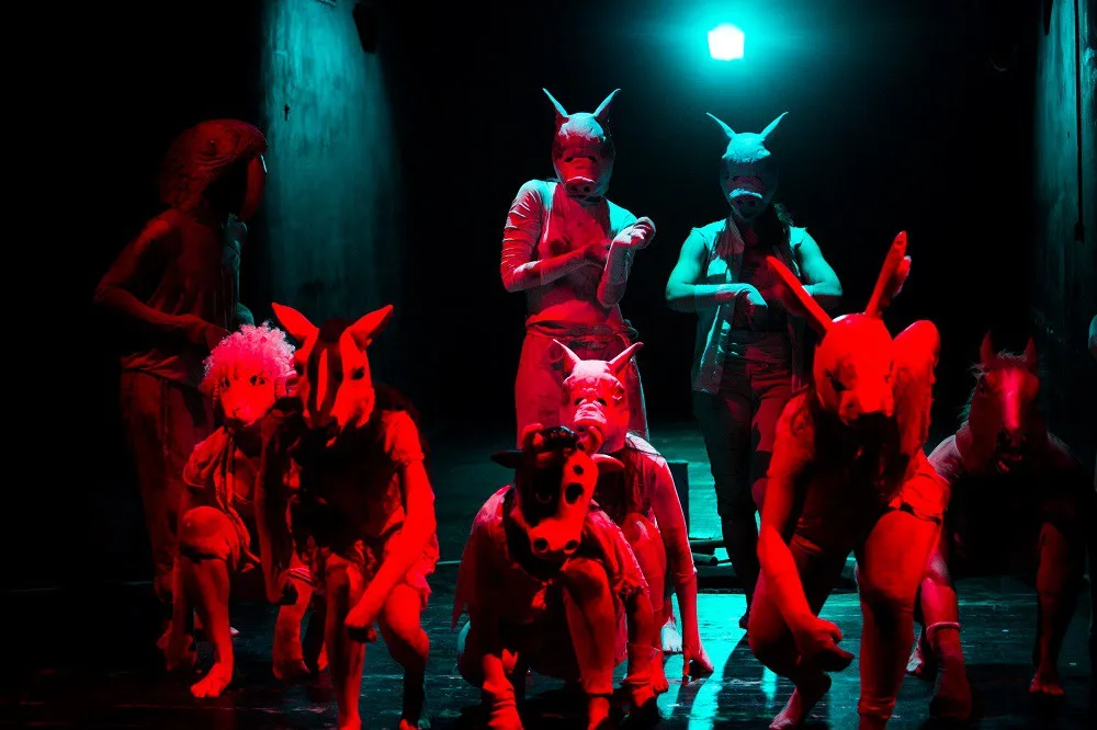 farma (1)