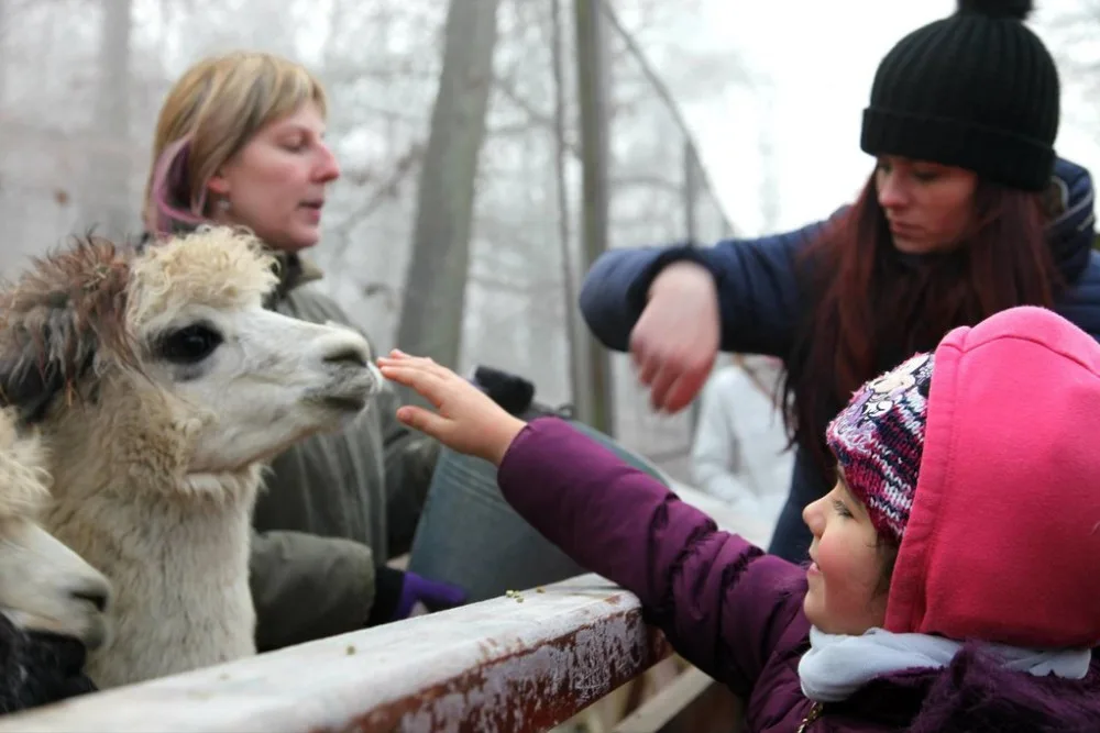 Zdroj: Zoo Brno