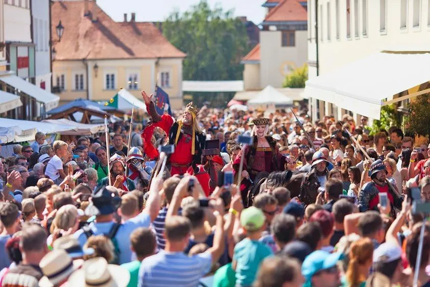 Pálavské vinobraní