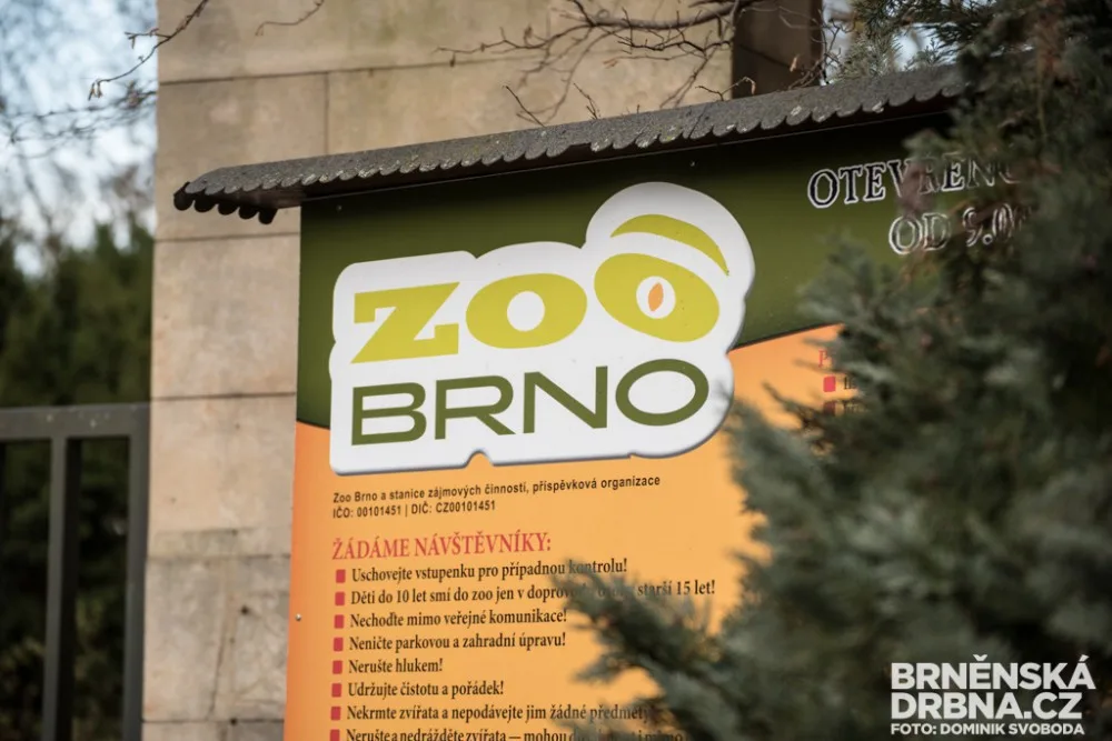 Zoo Brno