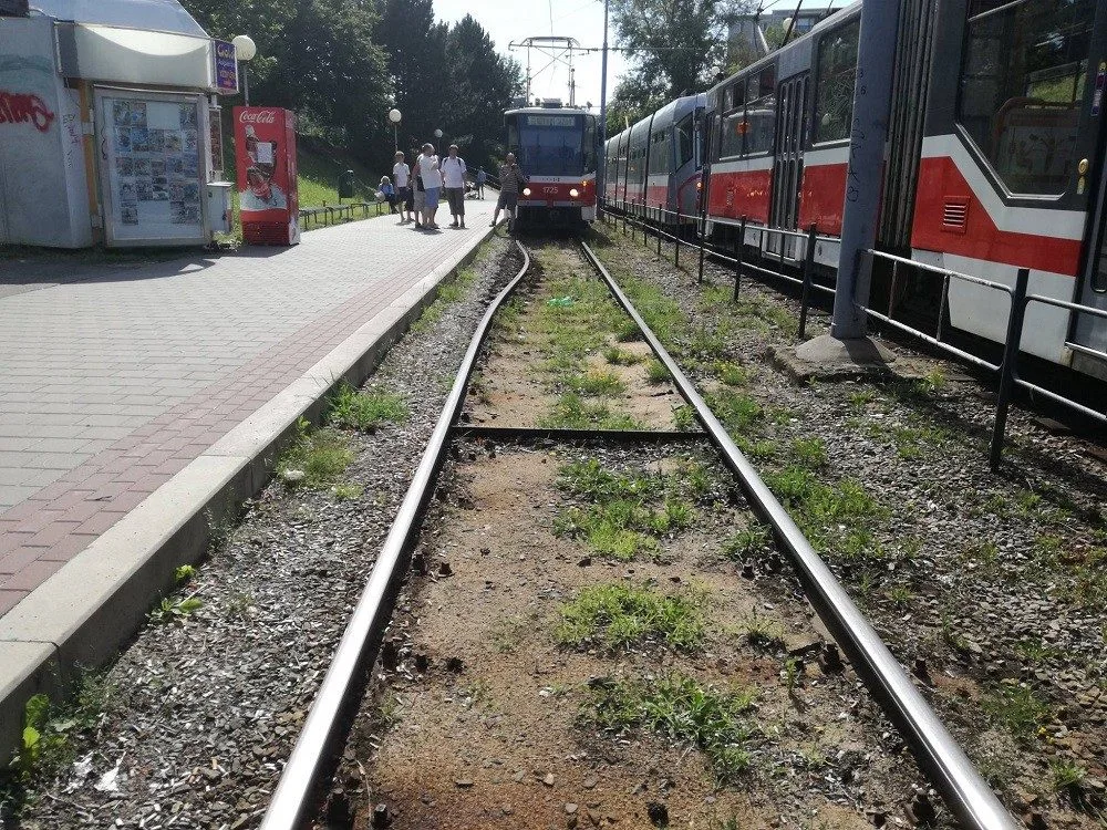 Zdroj: DPMB