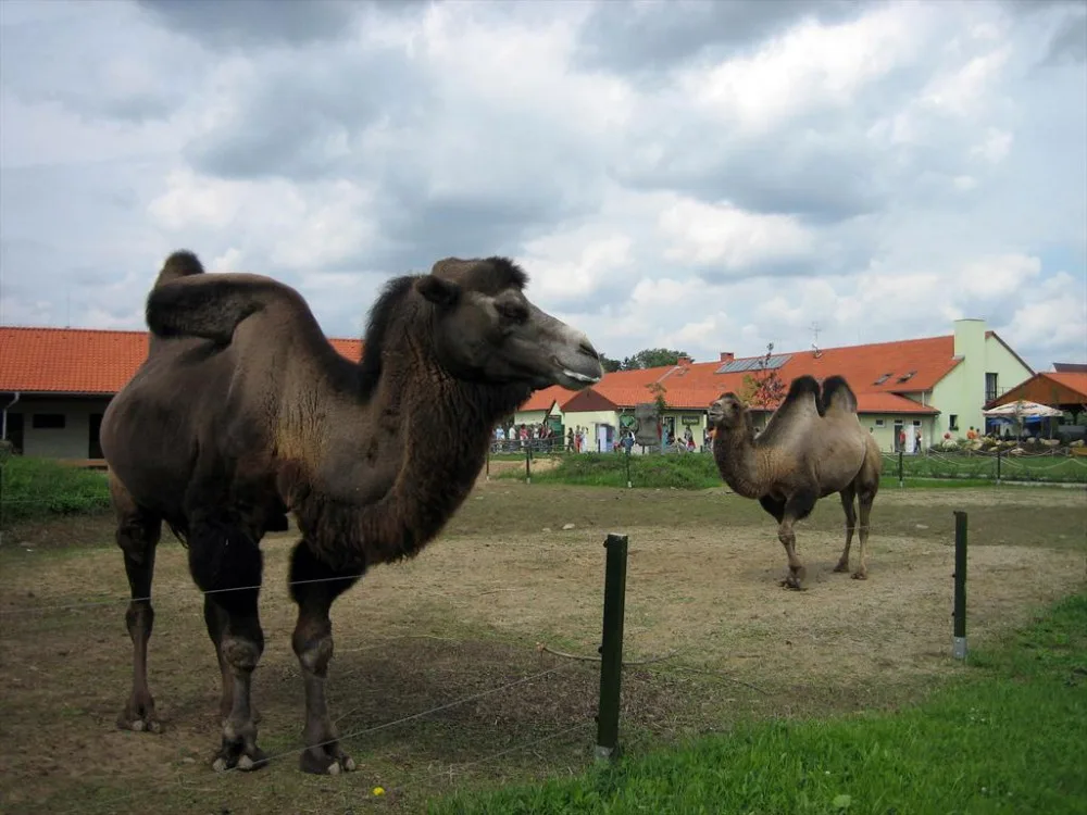 Vyškovský zoopark