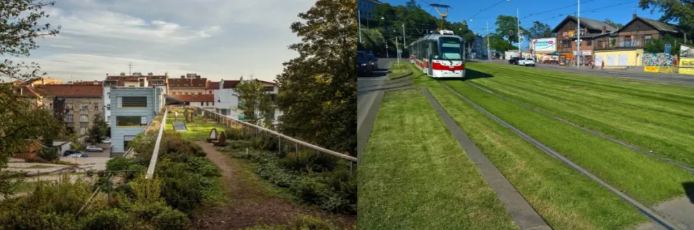 Zdroj: Nadace Partnerství