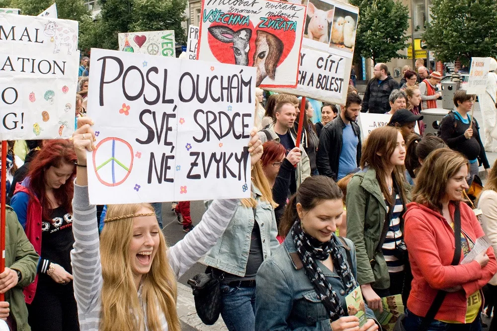 ilustrační foto