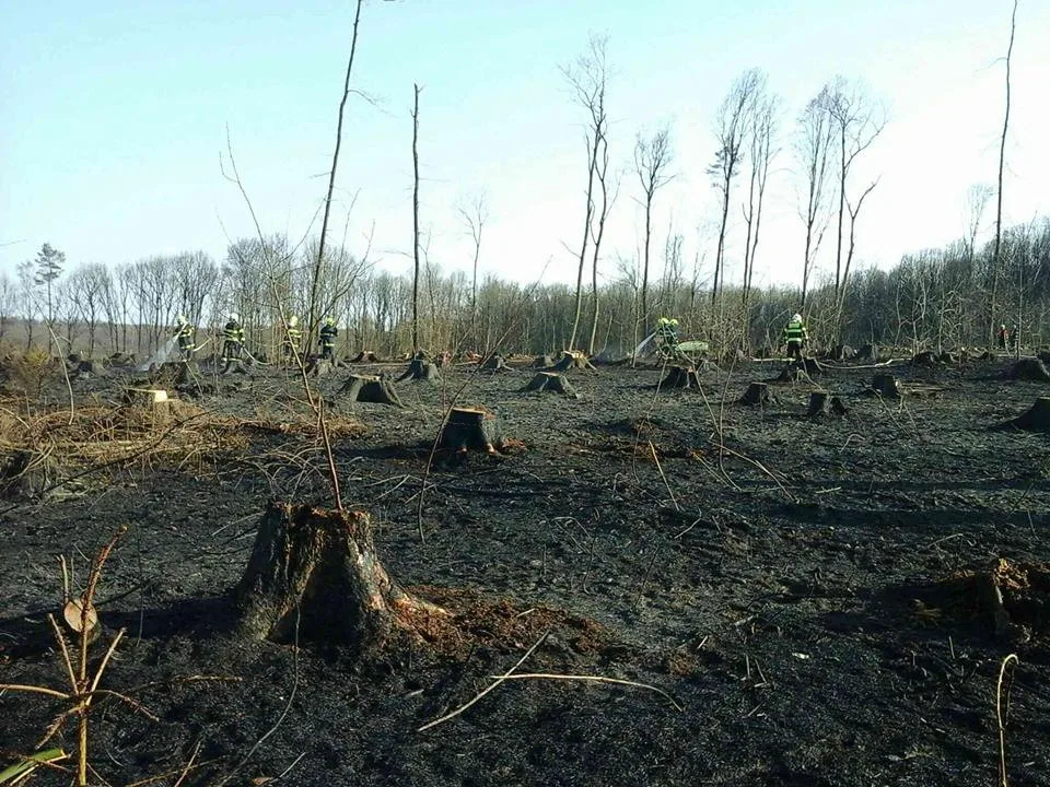 ilustrační foto, HZS JMK